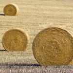 Monte Majore Alloggio per agriturismo
