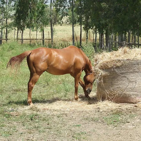 Lantgård Agriturismo Monte Majore