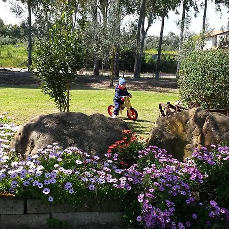 Agriturismo Monte Majore Lantgård *