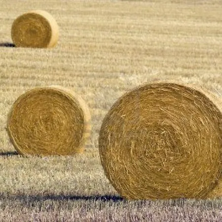 Monte Majore Farmház